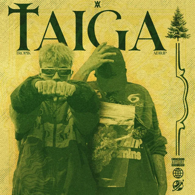 Taiga