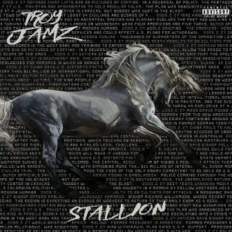 Stallion by Troy Jamz