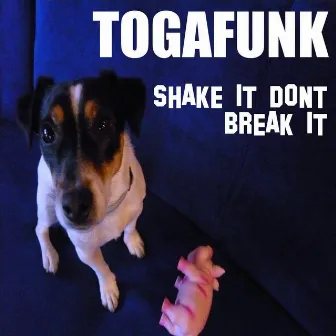 Shake it dont break it by Togafunk