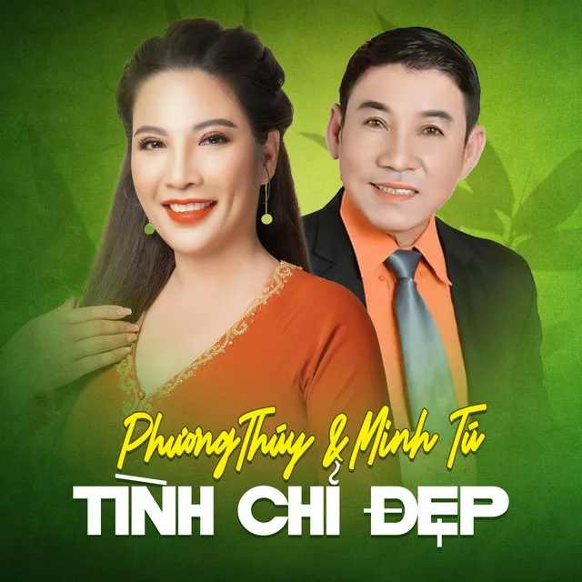 Tình Chỉ Đẹp