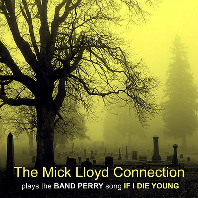 The Mick Lloyd Connection Plays the Band Perry Song