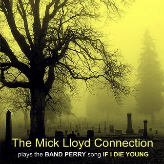 The Mick Lloyd Connection Plays the Band Perry Song by The Mick Lloyd Connection