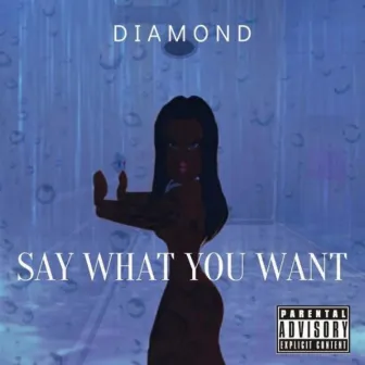 Say What You Want (SWYW) by Unknown Artist