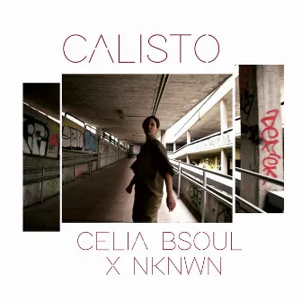 Calisto by Celia Bsoul