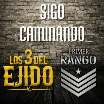 Sigo Caminando by Los 3 Del Ejido