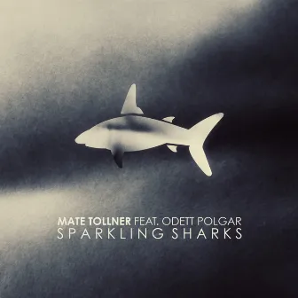 Sparkling Sharks by Mate Tollner