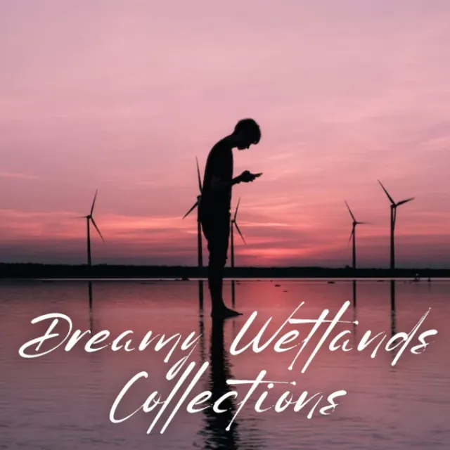 Dreamy Wetlands Collections