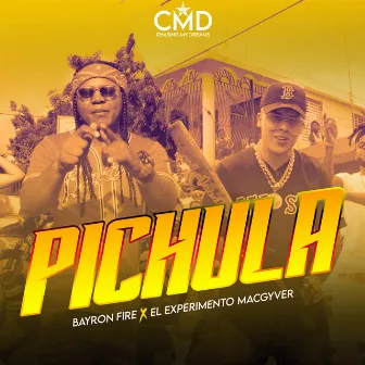 Pichula by El Experimento (Macgyver)