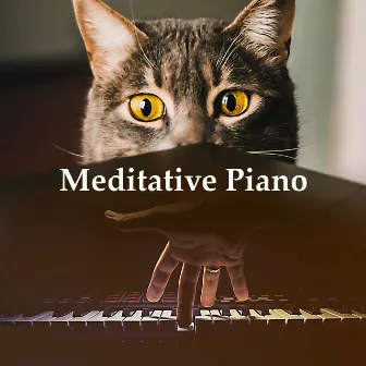 Meditative Piano by Unknown Artist