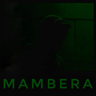 Mambera by Wolcott