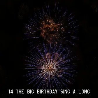 14 The Big Birthday Sing A Long by Unknown Artist