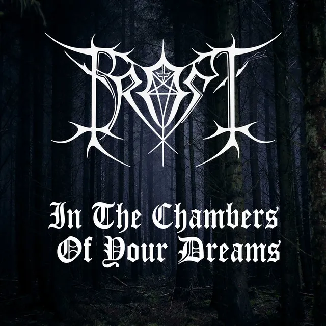 In The Chambers Of Your Dreams