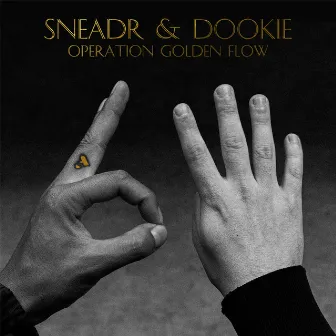 64: Operation Golden Flow by Sneadr