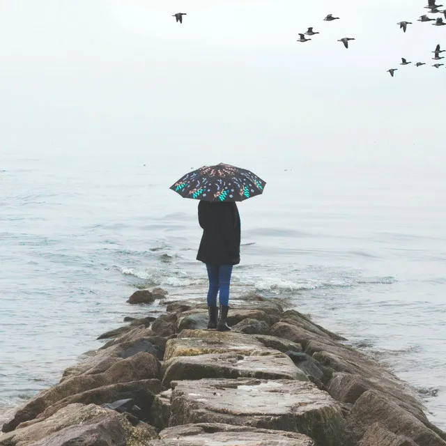 Rain in Brazil