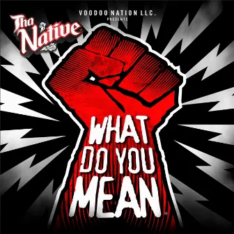 What Do you Mean by Tha Native