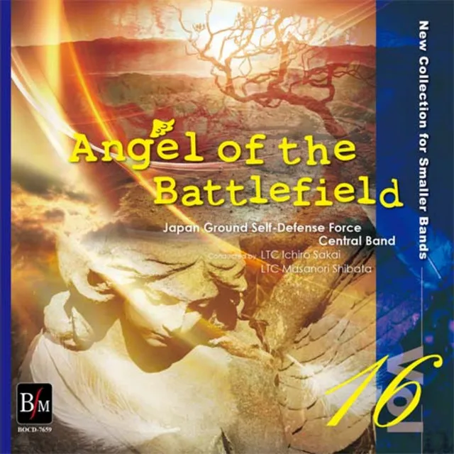 Angel of the Battlefield