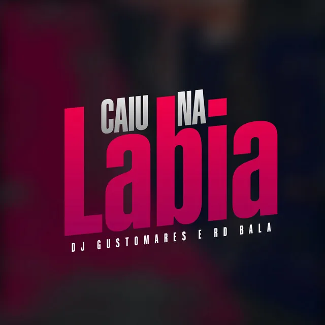 Caiu na Labia