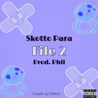 File 2 by Skotto Para