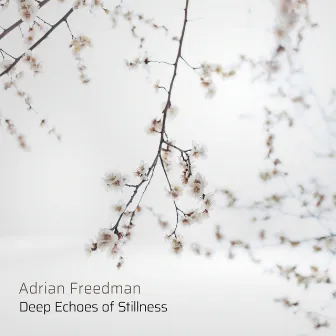 Deep Echoes of Stillness by Adrian Freedman