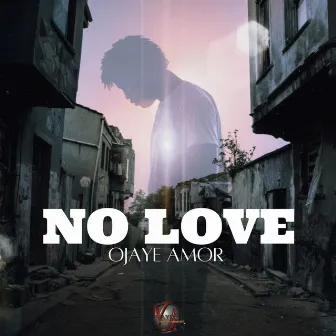 No Love by Ojaye Amor