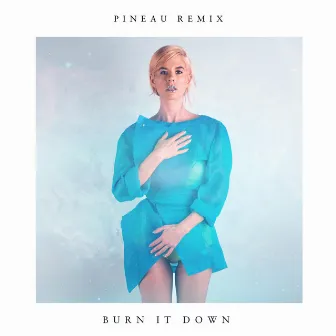 Burn It Down (Pineau Remix) by Pineau