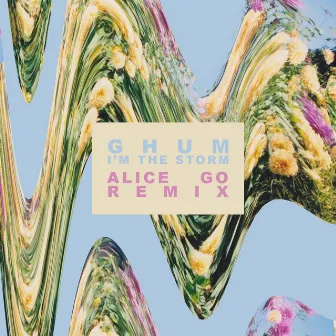 I'm the Storm (Alice Go Remix) by Alice Go