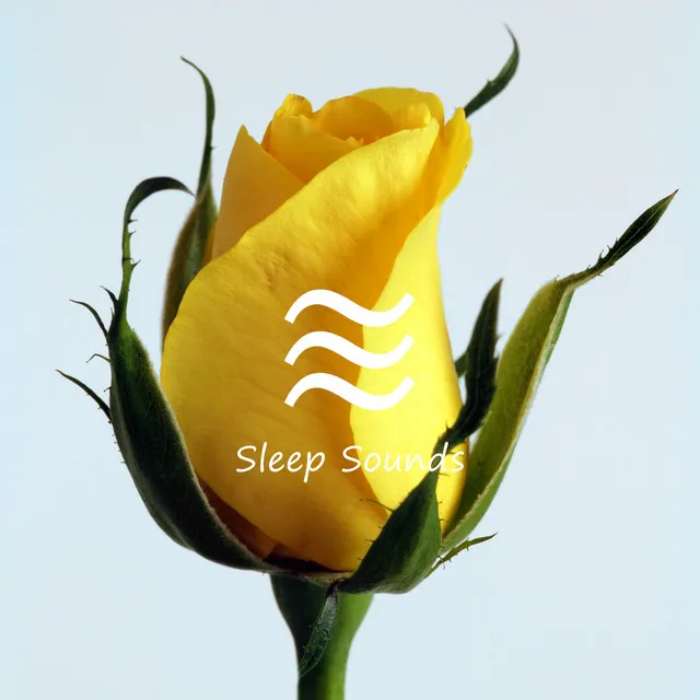 Quick Sleep Noise for Calm