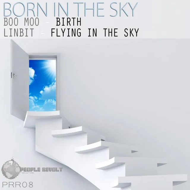 Born In The Sky