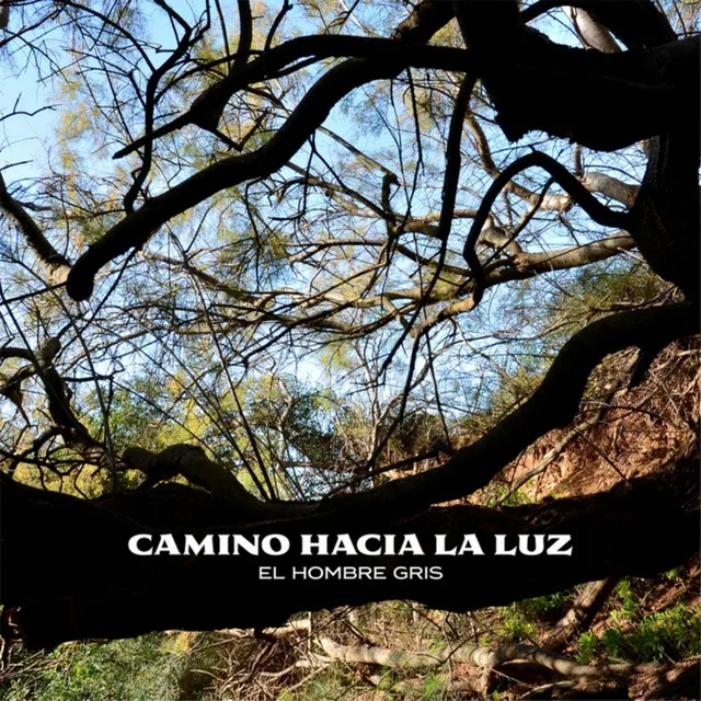 Camino Hacia a la Luz