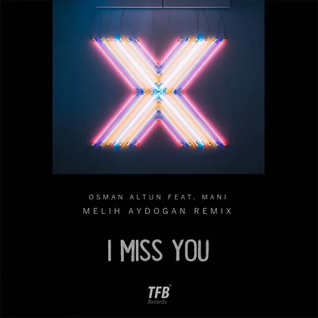 I Miss You - Remix