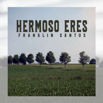 Hermoso Eres by Franklin Santos