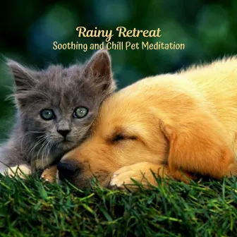 Rainy Retreat: Soothing and Chill Pet Meditation by Rained