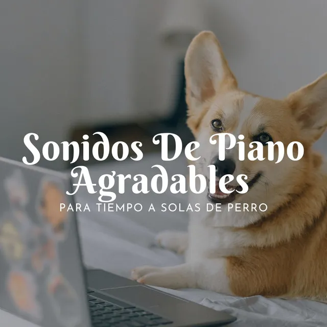 Paraíso Canino Con Piano