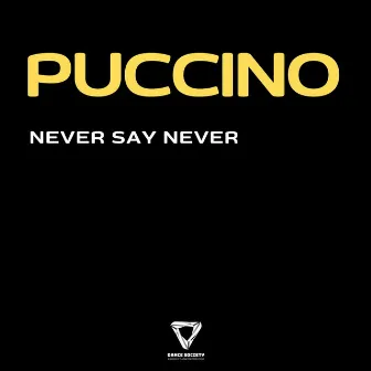 Never Say Never by Puccino