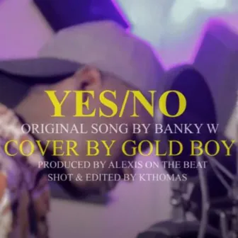 Yes/No Cover by Gold Boy