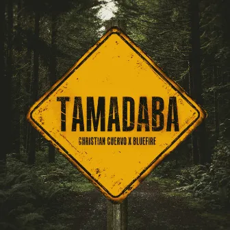 Tamadaba by Christian Cuervo