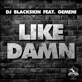 Like Damn by DJ Blackskin