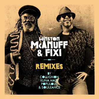 Remixes - EP by Fixi