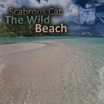 The Wild Beach by Scabrous Cat