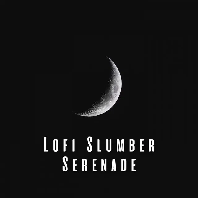 Lofi Slumber Serenade: Gentle Melodies for Deep Sleep