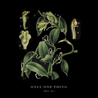 Only One Thing by Hola A Todo El Mundo