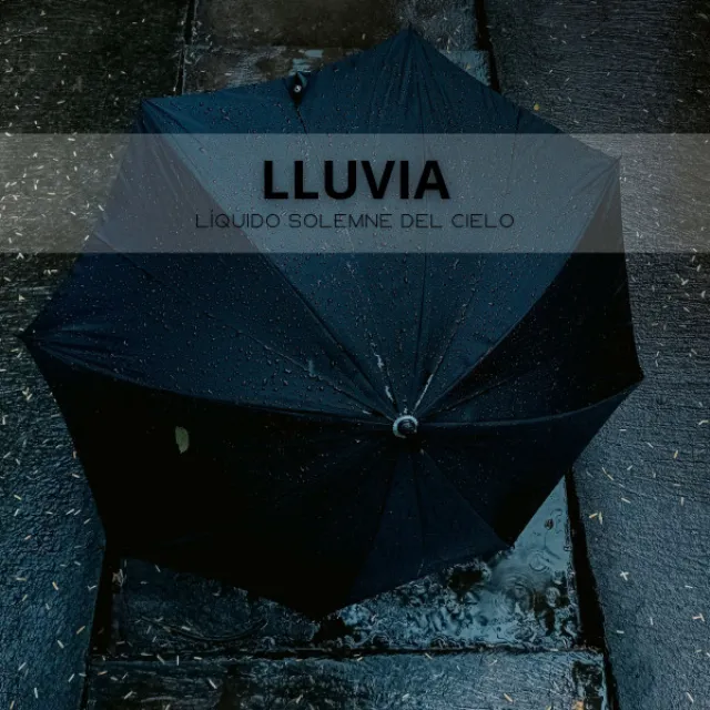 Experimento De Sonido De Lluvia