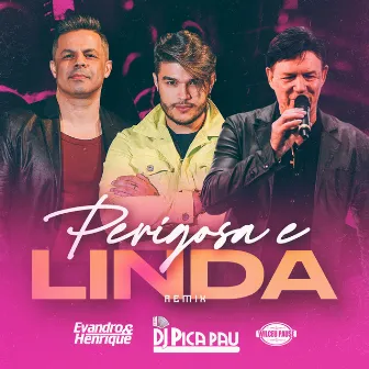 Perigosa e Linda (Remix) by DJ Pica Pau