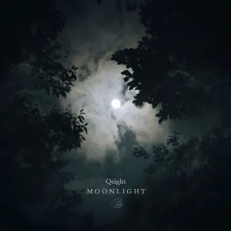 Moonlight by Qeight