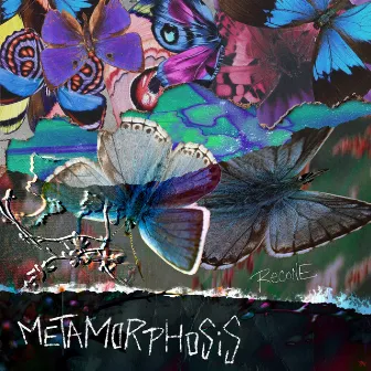 Metamorphosis by Recone