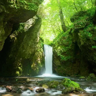 Nighttime Waterscapes: Stream's Serenading Choir by Sleepsleeprepeat