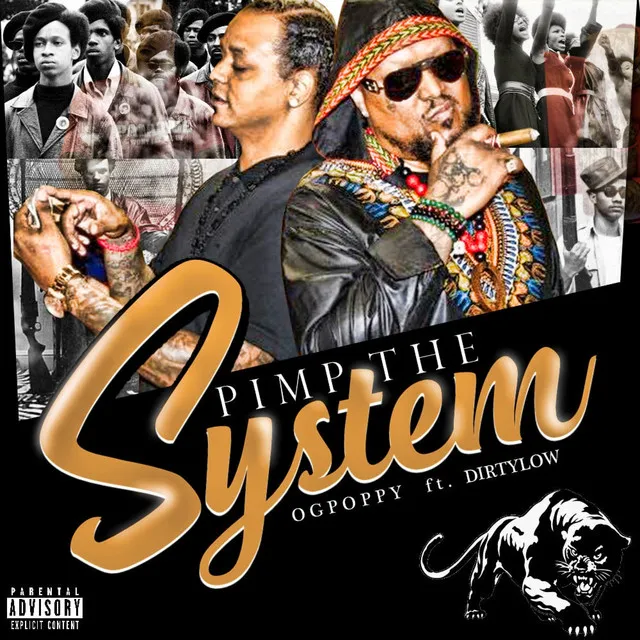 Pimp the System