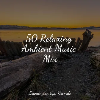 50 Relaxing Ambient Music Mix by Relaxation