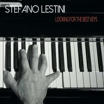 Looking for the Best Keys by Stefano Lestini