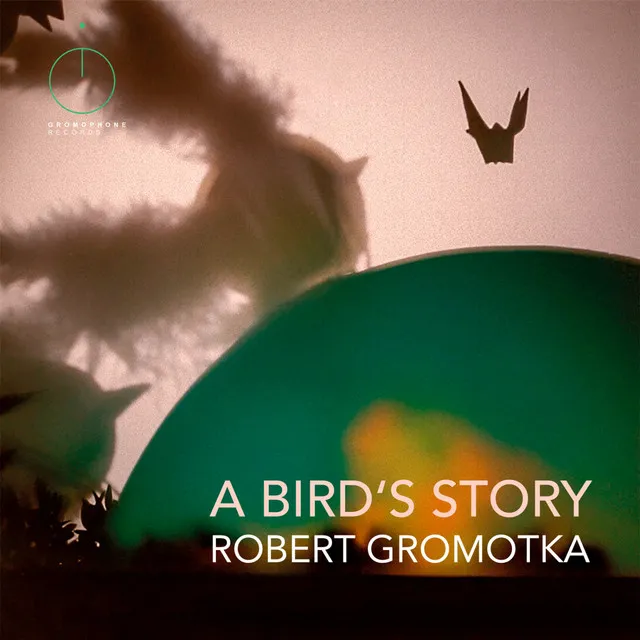 A Bird's Story